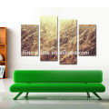 Autumn Grass Canvas Printing Art/ Modern Group Canvas Wall Art/Photos Print on Canvas